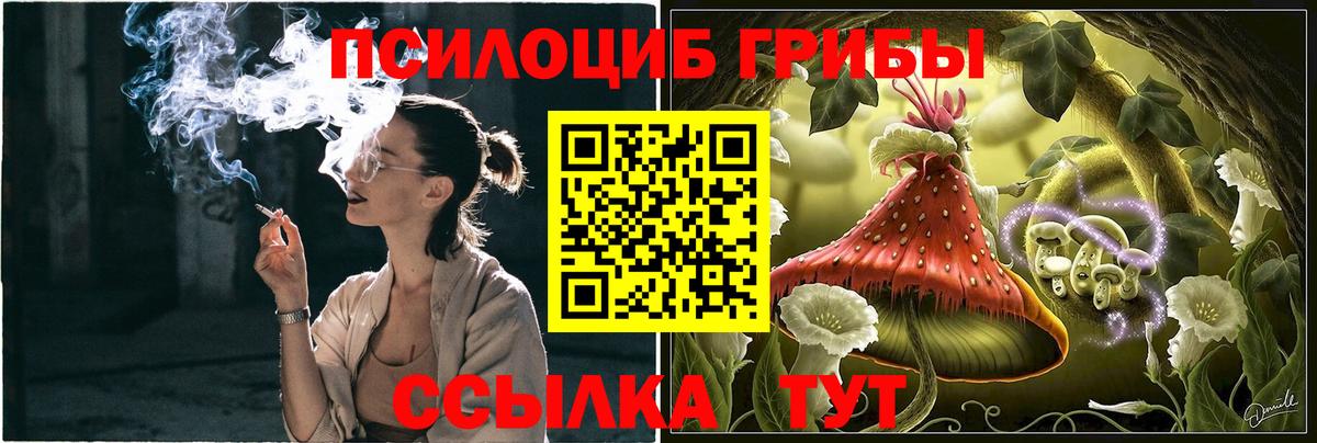 Псилоцибиновые грибы Psilocybine cubensis Ялуторовск